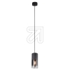TRIOPendant lamp black Robin 310600132Article-No: 630760
