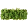 Leuchtendirekt GmbHLED wall light Green Carlo moss 15637-66Article-No: 642515