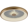Leuchtendirekt GmbHCCT-LED-Deckenleuchte Vertigo 40W messing-matt 2700K-5000K 14386-60Artikel-Nr: 642765