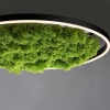 Leuchtendirekt GmbHLED ceiling light Green Ritus moss 28W 15392-66Article-No: 642780