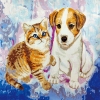 Crystal ArtMalen nach Zahlen Cat and Dog 50x50cmArtikel-Nr: 5055865494407