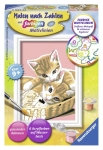 RavensburgerPainting by Numbers Classic Series F KittensArticle-No: 4005556296866