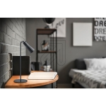 TRIORechargeable LED table lamp Maxi black 2W 3000K R52121132Article-No: 658380