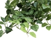EUROPALMSPothos bush tendril classic, artificial, 60cm