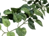 EUROPALMSPothos bush tendril classic, artificial, 70cm