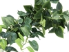 EUROPALMSPothos bush tendril classic, artificial, 100cm
