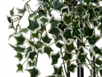 EUROPALMSHolland ivy bush tendril classic, artificial, 60cm