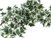 EUROPALMSHolland ivy bush tendril classic, artificial, 100cm