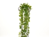 EUROPALMSPothos bush tendril premium, artificial, 170cm