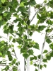 EUROPALMSBirch Tree, artificial plant, 180cmArticle-No: 82505231