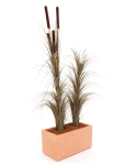 EUROPALMSReed grass cattails, dark-brown, artificial, 152cm