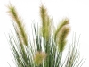 EUROPALMSMoor-grass in pot, artificial, 60cm