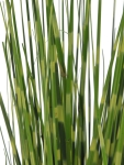 EUROPALMSZebra grass, artificial, 90cm