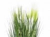 EUROPALMSFeather grass, artificial, white, 60cm