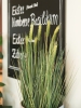EUROPALMSWheat early summer, artificial, 60cm