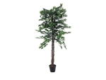 EUROPALMSFicus Tree Multi Trunk, artificial plant, 150cm