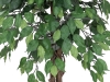 EUROPALMSFicus Tree Multi-Trunk, artificial plant, 180cmArticle-No: 82506126