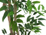 EUROPALMSFicus longifolia, artificial plant, 165cmArticle-No: 82506350