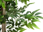 EUROPALMSFicus Longifolia, Kunstpflanze, 165cmArtikel-Nr: 82506350