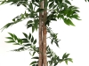 EUROPALMSFicus longifolia, artificial plant, 165cmArticle-No: 82506350