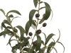 EUROPALMSOlivenbäumchen, Kunstpflanze, 68 cmArtikel-Nr: 82506421