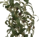 EUROPALMSOlivenbäumchen, Kunstpflanze, 104 cmArtikel-Nr: 82506423