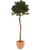 EUROPALMSLaurel ball tree, artificial plant, 180cm