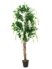 EUROPALMSGoldregenbaum, Kunstpflanze, weiß, 150cm