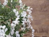 EUROPALMSWisteria, artificial plant, white, 180cmArticle-No: 82507106