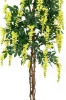 EUROPALMSWisteria, artificial plant, yellow, 150cmArticle-No: 82507115