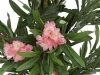 EUROPALMSOleanderbaum, Kunstpflanze, rosa, 150 cmArtikel-Nr: 82507247
