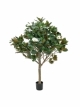 EUROPALMSMagnolia tree, artificial plant, 150cmArticle-No: 82507255