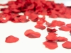 EUROPALMSRose Petals, artificial, red, 500x