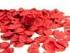 EUROPALMSRose Petals, artificial, red, 500x