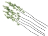 EUROPALMSBamboo tube with leaves, artificial, 180cm, sixpack