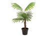 EUROPALMSFan palm, artificial plant, 88cmArticle-No: 82509301