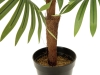 EUROPALMSFächerpalme, Kunstpflanze, 88cmArtikel-Nr: 82509301