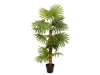 EUROPALMSFächerpalme, Kunstpflanze, 130cmArtikel-Nr: 82509302