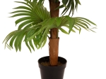EUROPALMSFan palm, artificial plant, 130cmArticle-No: 82509302