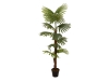 EUROPALMSFan palm, artificial plant, 155cmArticle-No: 82509303