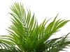 EUROPALMSAreca Palm, artificial plant, 46 cm