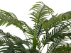 EUROPALMSAreca palm, 2 trunks, artificial plant, 120cmArticle-No: 82509410