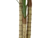EUROPALMSAreca Palme, 3-stämmig, Kunstpflanze, 150cmArtikel-Nr: 82509411