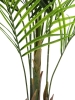 EUROPALMSGroßblatt-Areca, Kunstpflanze, 165cm