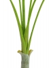 EUROPALMSAreca deluxe, Kunstpflanze, 180cm