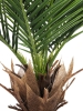 EUROPALMSPhoenix palm deluxe, artificial plant, 220cm