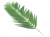 EUROPALMSCoconut palm branch, artificial, 90cm 12x