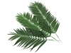 EUROPALMSCoconut palm branch, artificial, 110cm 12x