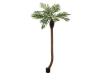 EUROPALMSPhoenix palm tree luxor curved, artificial plant, 240cm
