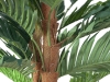 EUROPALMSKentia palm tree, artificial plant, 120cm
